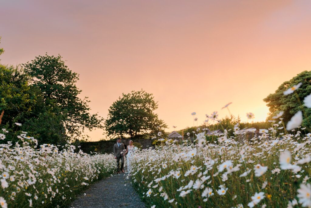 orange sunset in the gardens in west wales, rhosygilwen gardens, wild daisies, wedding couple walking, 